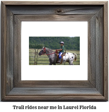 trail rides near me in Laurel, Florida